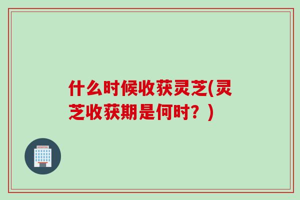 什么时候收获灵芝(灵芝收获期是何时？)