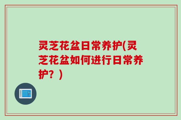 灵芝花盆日常养护(灵芝花盆如何进行日常养护？)