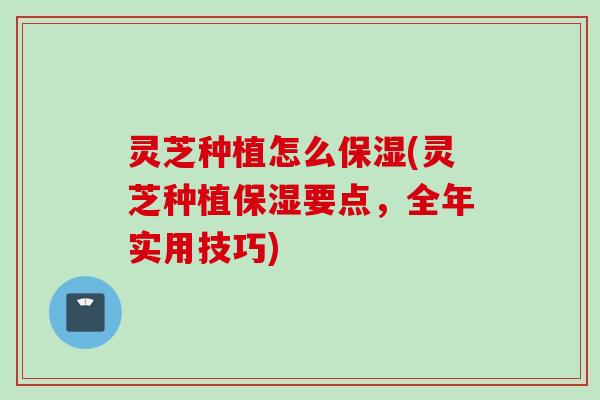灵芝种植怎么保湿(灵芝种植保湿要点，全年实用技巧)