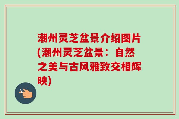潮州灵芝盆景介绍图片(潮州灵芝盆景：自然之美与古风雅致交相辉映)