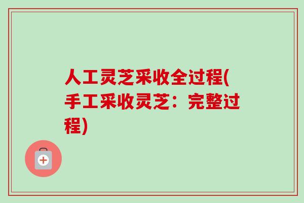 人工灵芝采收全过程(手工采收灵芝：完整过程)