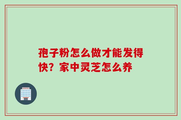 孢子粉怎么做才能发得快？家中灵芝怎么养