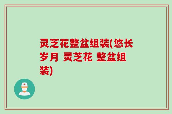 灵芝花整盆组装(悠长岁月 灵芝花 整盆组装)