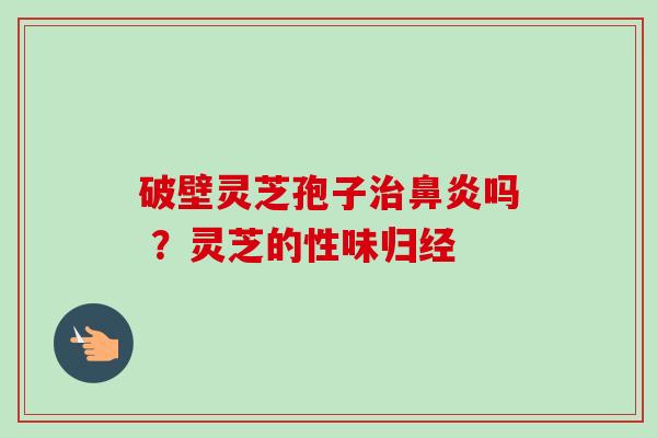 破壁灵芝孢子治鼻炎吗 ？灵芝的性味归经