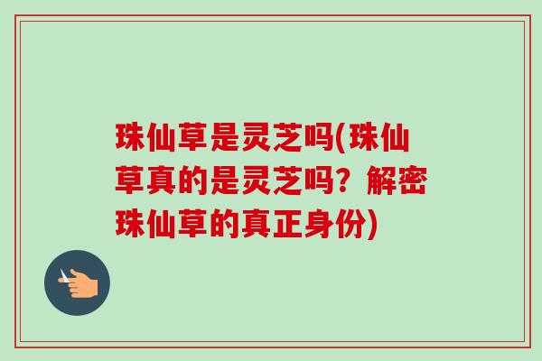 珠仙草是灵芝吗(珠仙草真的是灵芝吗？解密珠仙草的真正身份)