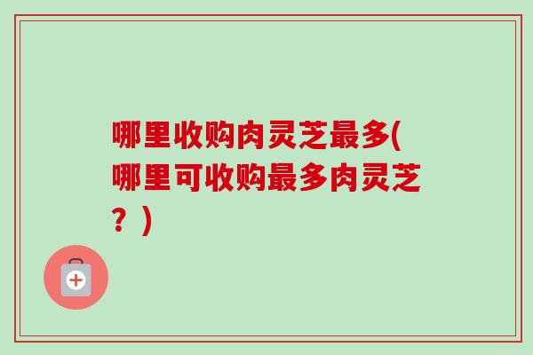 哪里收购肉灵芝最多(哪里可收购最多肉灵芝？)