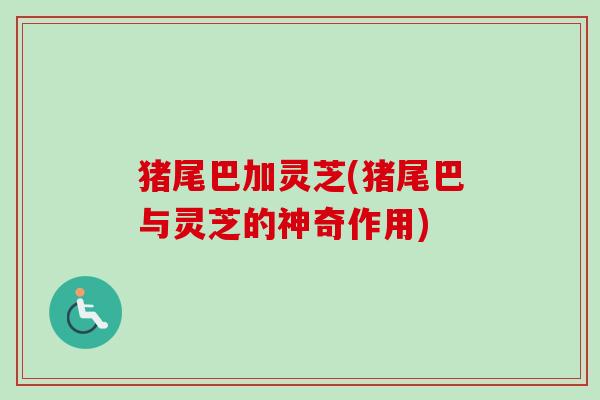 猪尾巴加灵芝(猪尾巴与灵芝的神奇作用)