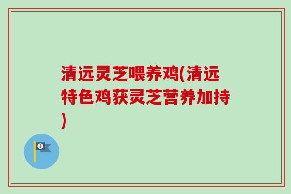 清远灵芝喂养鸡(清远特色鸡获灵芝营养加持) 清远灵芝喂养鸡(清远特色鸡获灵芝营养加持)