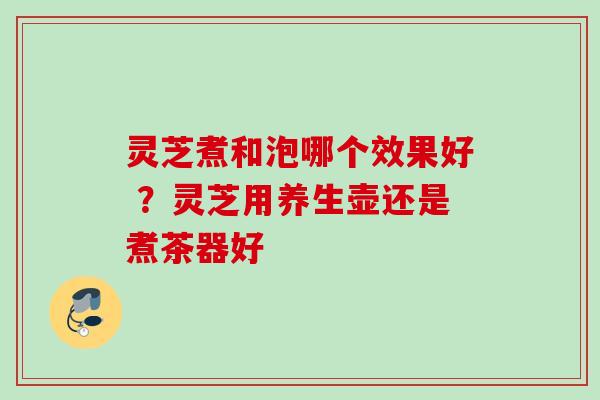 灵芝煮和泡哪个效果好 ？灵芝用养生壶还是煮茶器好