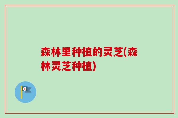 森林里种植的灵芝(森林灵芝种植)