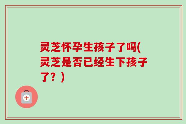 灵芝怀孕生孩子了吗(灵芝是否已经生下孩子了？)