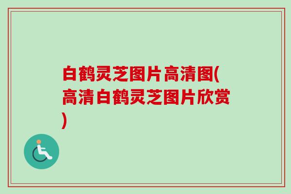 白鹤灵芝图片高清图(高清白鹤灵芝图片欣赏)