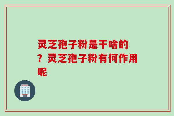 灵芝孢子粉是干啥的 ？灵芝孢子粉有何作用呢
