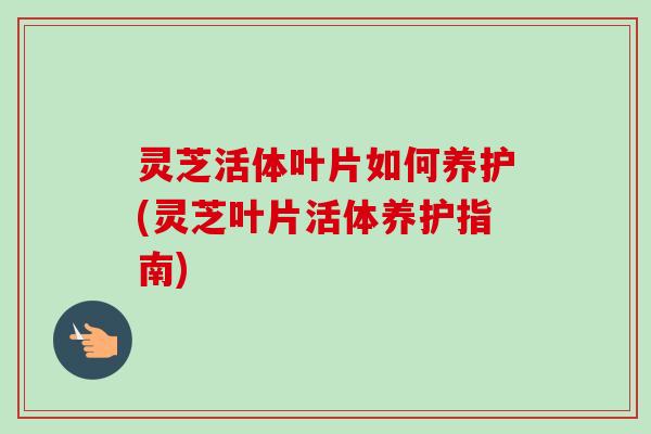 灵芝活体叶片如何养护(灵芝叶片活体养护指南)