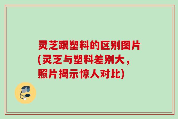 灵芝跟塑料的区别图片(灵芝与塑料差别大,照片揭示惊人对比) 灵芝跟塑料的区别图片(灵芝与塑料差别大,照片揭示惊人对比)