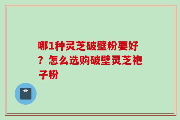 哪1种灵芝破壁粉要好？怎么选购破壁灵芝袍子粉