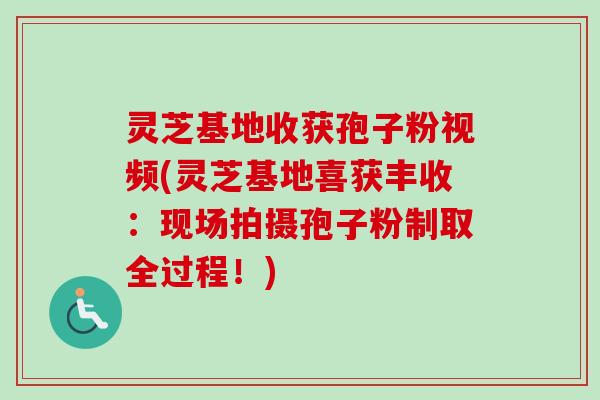灵芝基地收获孢子粉视频(灵芝基地喜获丰收：现场拍摄孢子粉制取全过程！)