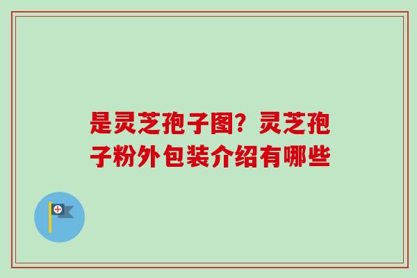 是灵芝孢子图？灵芝孢子粉外包装介绍有哪些