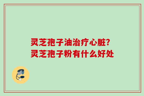 灵芝孢子油治疗心脏？灵芝孢子粉有什么好处