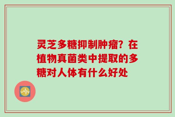 灵芝多糖抑制？在植物真菌类中提取的多糖对人体有什么好处