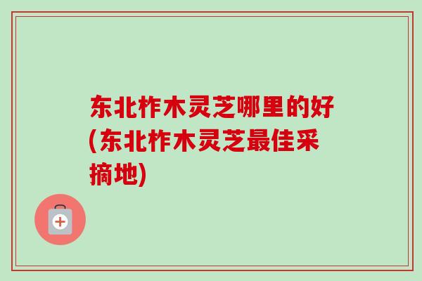 东北柞木灵芝哪里的好(东北柞木灵芝最佳采摘地)