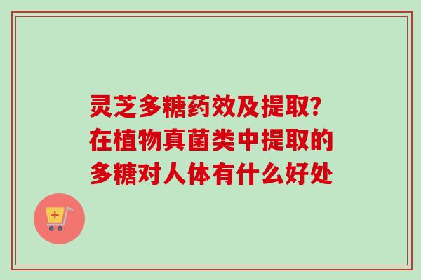 灵芝多糖药效及提取？在植物真菌类中提取的多糖对人体有什么好处