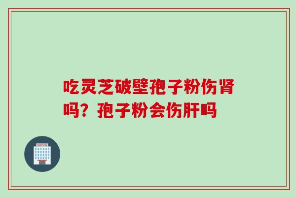 吃灵芝破壁孢子粉伤肾吗?孢子粉会伤肝吗