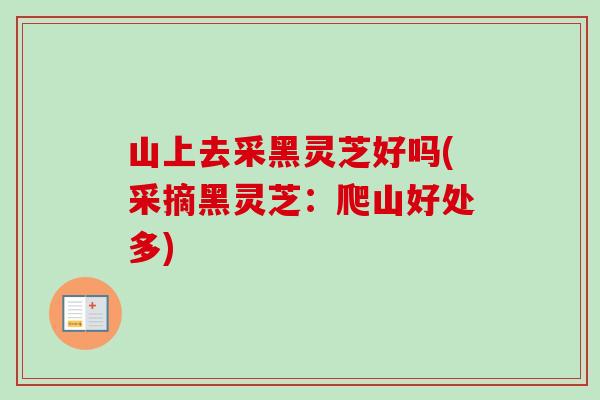 山上去采黑灵芝好吗(采摘黑灵芝：爬山好处多)