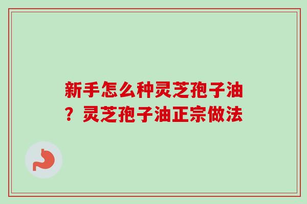 新手怎么种灵芝孢子油？灵芝孢子油正宗做法