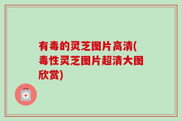 有毒的灵芝图片高清(毒性灵芝图片超清大图欣赏)