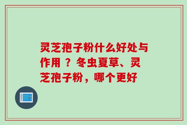 灵芝孢子粉什么好处与作用 ？冬虫夏草、灵芝孢子粉，哪个更好
