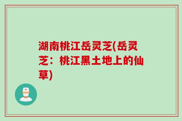 湖南桃江岳灵芝(岳灵芝：桃江黑土地上的仙草)