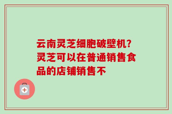 云南灵芝细胞破壁机？灵芝可以在普通销售食品的店铺销售不