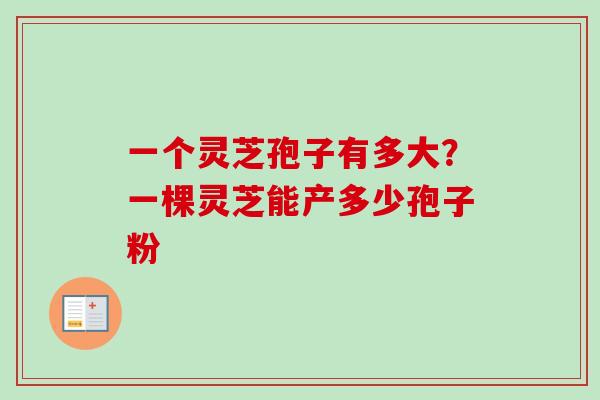 一个灵芝孢子有多大？一棵灵芝能产多少孢子粉