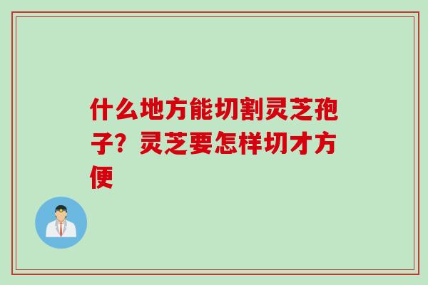 什么地方能切割灵芝孢子？灵芝要怎样切才方便