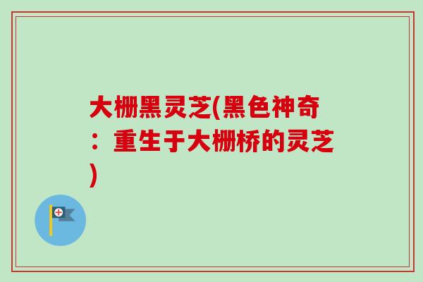 大栅黑灵芝(黑色神奇：重生于大栅桥的灵芝)