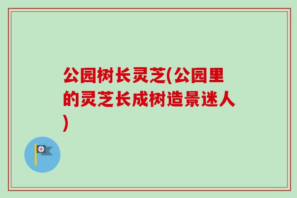 公园树长灵芝(公园里的灵芝长成树造景迷人)