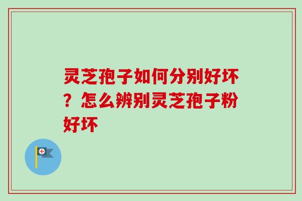 灵芝孢子如何分别好坏？怎么辨别灵芝孢子粉好坏