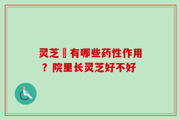 灵芝囷有哪些药性作用 ？院里长灵芝好不好