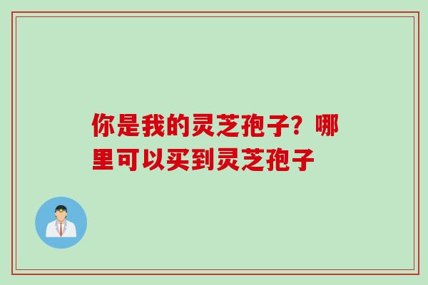 你是我的灵芝孢子？哪里可以买到灵芝孢子