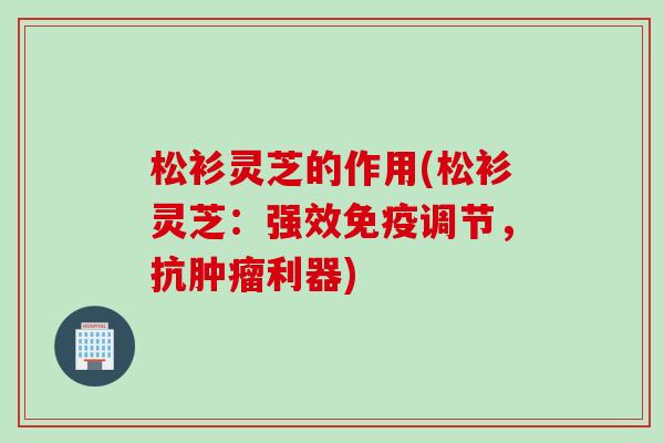 松衫灵芝的作用(松衫灵芝：强效免疫调节，抗肿瘤利器)