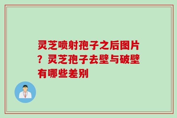 灵芝喷射孢子之后图片？灵芝孢子去壁与破壁有哪些差别