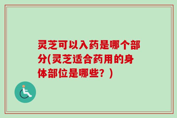 灵芝可以入药是哪个部分(灵芝适合药用的身体部位是哪些？)