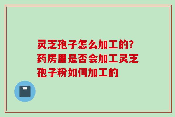灵芝孢子怎么加工的？药房里是否会加工灵芝孢子粉如何加工的