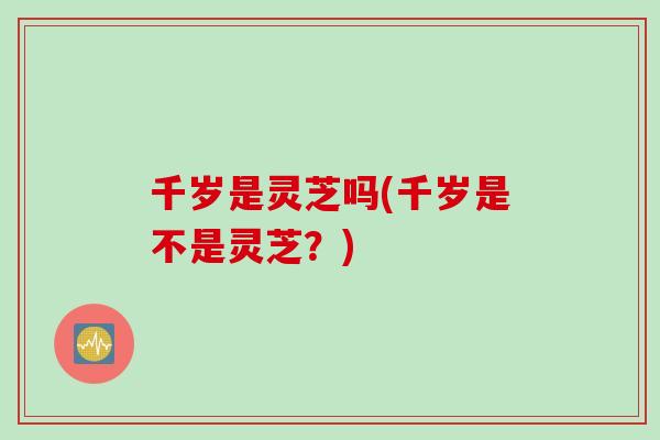 千岁是灵芝吗(千岁是不是灵芝？)