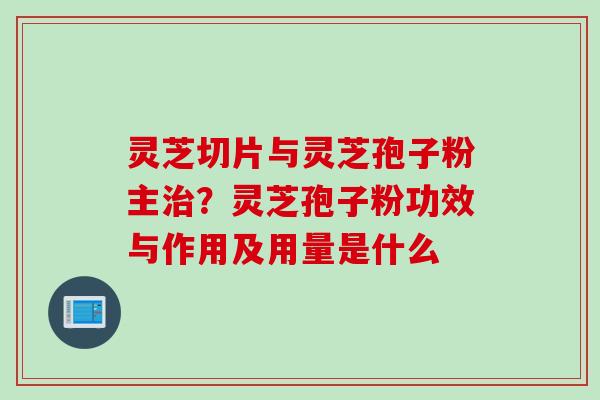 灵芝切片与灵芝孢子粉主治？灵芝孢子粉功效与作用及用量是什么