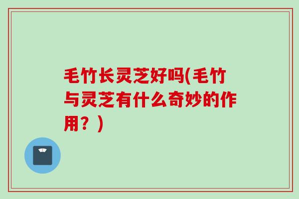 毛竹长灵芝好吗(毛竹与灵芝有什么奇妙的作用？)