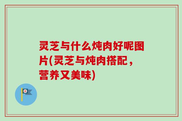 灵芝与什么炖肉好呢图片(灵芝与炖肉搭配，营养又美味)