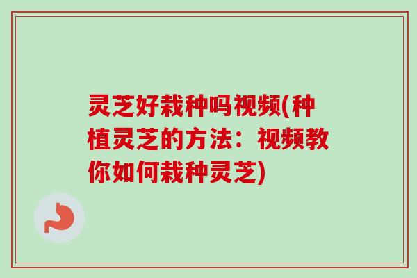 灵芝好栽种吗视频(种植灵芝的方法：视频教你如何栽种灵芝)