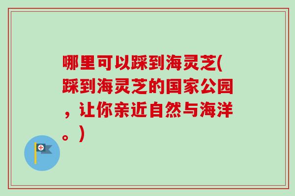 哪里可以踩到海灵芝(踩到海灵芝的国家公园，让你亲近自然与海洋。)